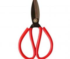 Gunting Kain / Gunting Kodok "Popeye"