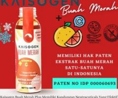 KAISOGEN BUAH MERAH | ANTI RADIKAL BEBAS